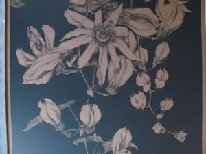 Anton Pieck - Passiebloemen kopen? Bied vanaf 75!