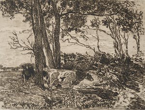 Willem de Zwart - Ets, Landschap met koeien kopen? Bied vanaf 20!