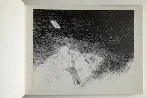 Peter van Straaten - Nastoot kopen? Bied vanaf 40!