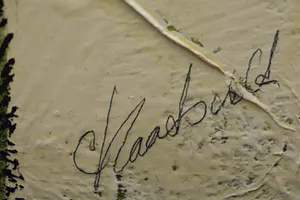 Carla Raadsveld - Papavers hoog I kopen? Bied vanaf 200!