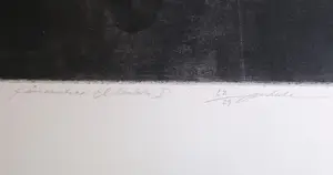 Jiri Anderle - Jiři ANDERLE „KAMASUTRA I" Radierung - Auflage von 29 - signiert - (80 x 64 cm) kopen? Bied vanaf 800!