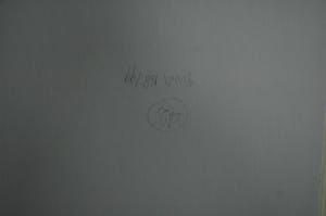 Annemarie de Groot - Naakt in de Chinese tuin kopen? Bied vanaf 45!