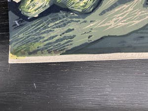 Ru van Rossem - Jongen met konijn kopen? Bied vanaf 20!