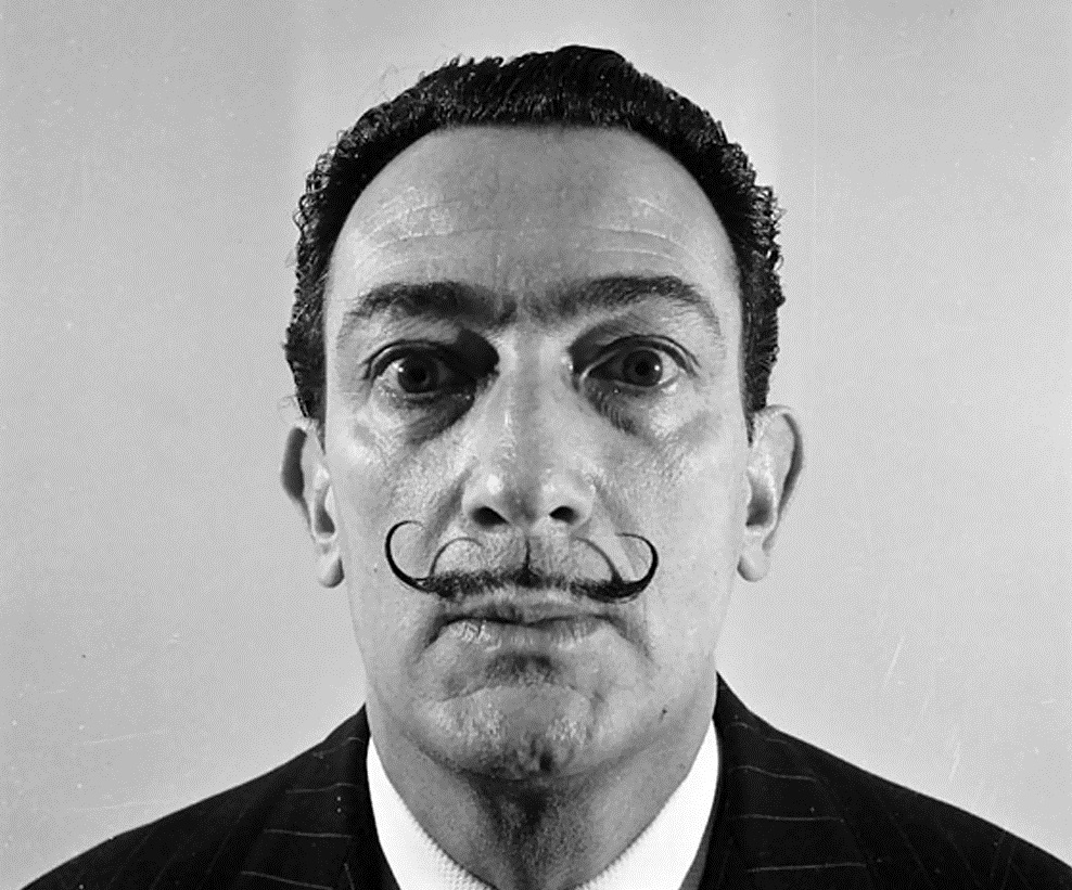 Salvador Dali - Les Simionaques, litho of houtdruk (ingelijst) kopen? Bied vanaf 1!