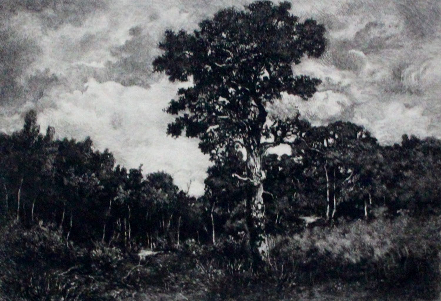C.L. Dake - Litho kopen? Bied vanaf 45!
