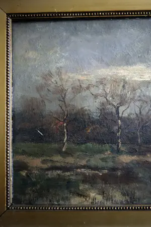 Emanuel van der Ven - Natuurlandschap met berken kopen? Bied vanaf 75!