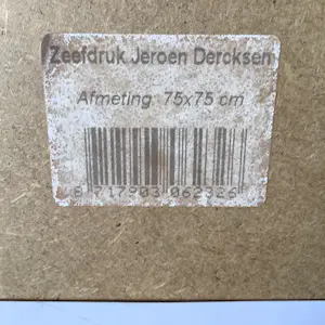 Jeroen Dercksen - Vierkant met inzicht 24 kopen? Bied vanaf 50!