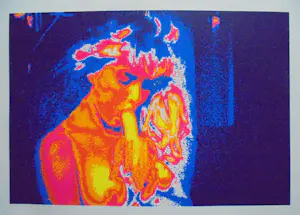 Henk van der Vet - Bananenbar. Prachtig van kleur!! kopen? Bied vanaf 75!