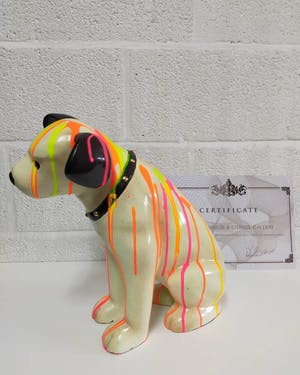 Hannes D'Haese - Hondje kopen? Bied vanaf 125!