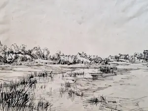 Carel Nicolaas Storm van 's-Gravesande - grote inkt-tekening - ca. 1900 - weids Hollands landschap - gesigneerd kaufen? Bieten Sie von 58!