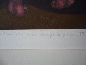 Helen van der Deen - Ets/Aquatint, Serie "van uit mijn slaapzak gezien IX". kopen? Bied vanaf 30!