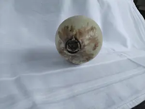 Iet Cool-Schoorl - Zaadbol kopen? Bied vanaf 50!