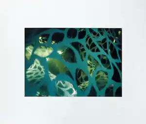Hiroe Okubo - Zeefdruk, Shading Fragment V verkocht voor € 50!