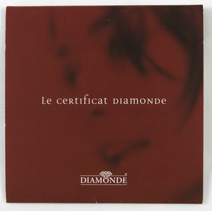 14K Goud - Collier met diamant bezette hanger (inclusief certificaat) kopen? Bied vanaf 170!