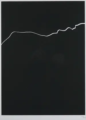 Harry van Kuyk - Zeefdruk uit het portfolio Grafinu - Ingelijst kopen? Bied vanaf 50!