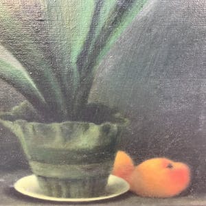 Niet of onleesbaar gesigneerd - Clivia in bloei kopen? Bied vanaf 1!