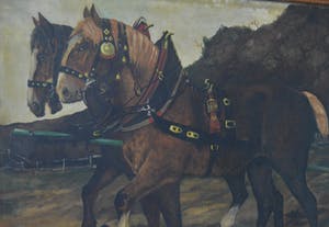 Niet of onleesbaar gesigneerd - Twee paarden. kopen? Bied vanaf 1!