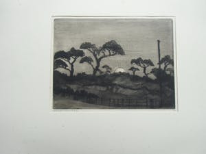 Lodewijk Schelfhout - LES SAPINS /// DROGE NAALD VAN LODEWIJK SCHELFHOUT kopen? Bied vanaf 40!