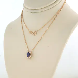 14k gouden collier met hanger bezet saffier en briljant geslepen diamant 0,07ct kopen? Bied vanaf 185!