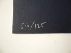 James Pichette - Lithographie Abstraction signée ( Ondertekende abstractie) kopen? Bied vanaf 40!