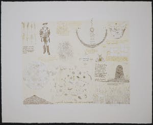 Theo Kley - Litho, Erfelijke variaties (...) kopen? Bied vanaf 1!