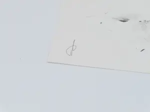 Peter Langenberg - Uit de tweede hand kopen? Bied vanaf 25!