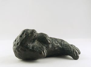 Brons (Onbekend) - Brons, Liggende zeehond kopen? Bied vanaf 10!