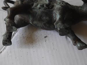 Niet of onleesbaar gesigneerd - waterbuffel uit Tibet kopen? Bied vanaf 10!