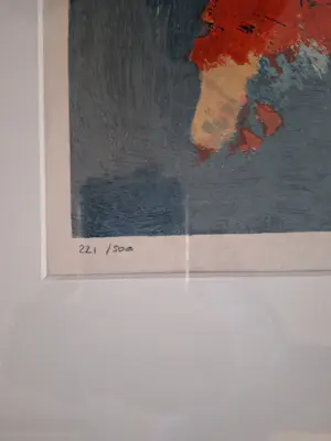 Wil Willemsen - Red dress kopen? Bied vanaf 125!