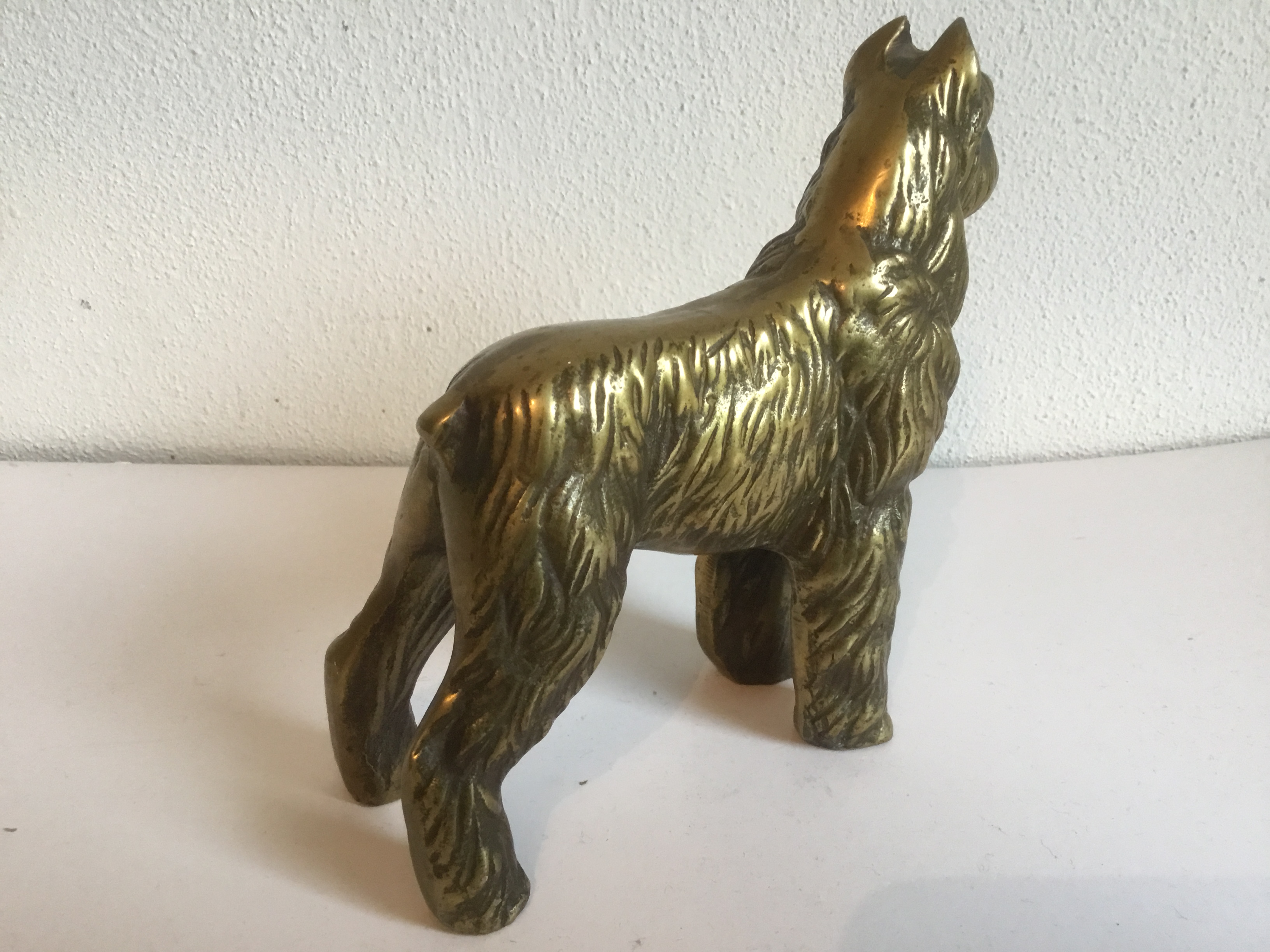 Brons (Onbekend) - Bouvier kopen? Bied vanaf 1!