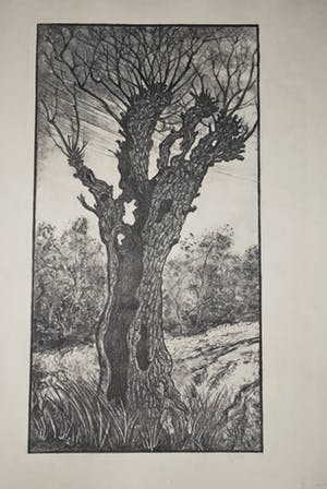 Anton Wirtz - Litho holle boom en Litho landschap - voorkant en achterkant van 1 groot blad kopen? Bied vanaf 35!