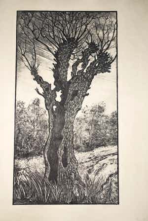 Anton Wirtz - Litho holle boom en Litho landschap - voorkant en achterkant van 1 groot blad verkocht voor € 35!