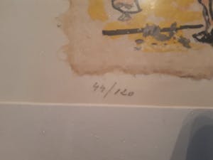 Kees Salentijn - Twee koeien kopen? Bied vanaf 25!