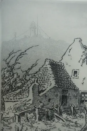 Toon de Jong - VLIELAND kopen? Bied vanaf 40!