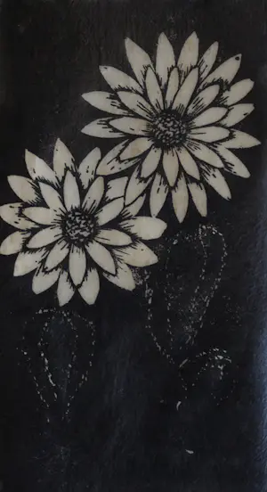 Jac. de Beer - Dahlia kopen? Bied vanaf 40!