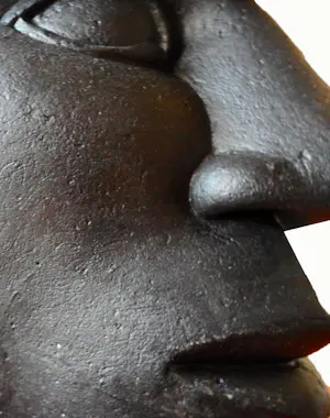 Bert Witte - I am NOT your NEGRO! kopen? Bied vanaf 190!