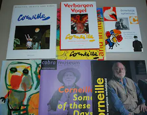 Corneille - 11x : boeken en servies kopen? Bied vanaf 70!