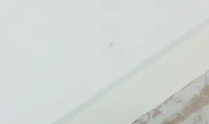 Luis Filcer - Lot van drie zeefdrukken kopen? Bied vanaf 60!