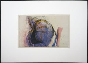 Hans Vredegoor - Kleurenets, Tweespraaktwee kopen? Bied vanaf 1!