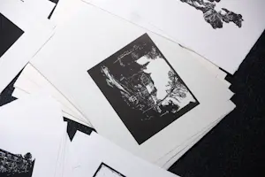 Stijn Peeters - Serie van 73 linosnedes 2003-2005 kopen? Bied vanaf 450!