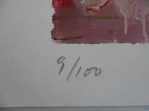 Peter Diem - Zeefdruk. Porsche kopen? Bied vanaf 35!