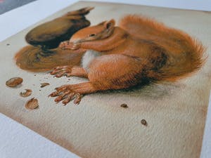 Albrecht Durer - Twee eekhoorns (op handgeschept papier) kopen? Bied vanaf 1!