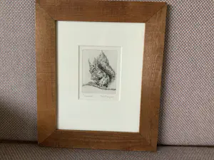 Mary Plantenga - “Knabbel” kopen? Bied vanaf 20!