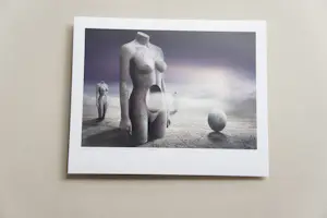Ben Goossens - 'Fertility Rights' (2005) - GRATIS VERZENDING kopen? Bied vanaf 60!
