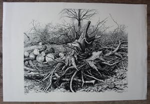 Patrick Creyghton - Litho: Knoestige boomstronk kopen? Bied vanaf 75!
