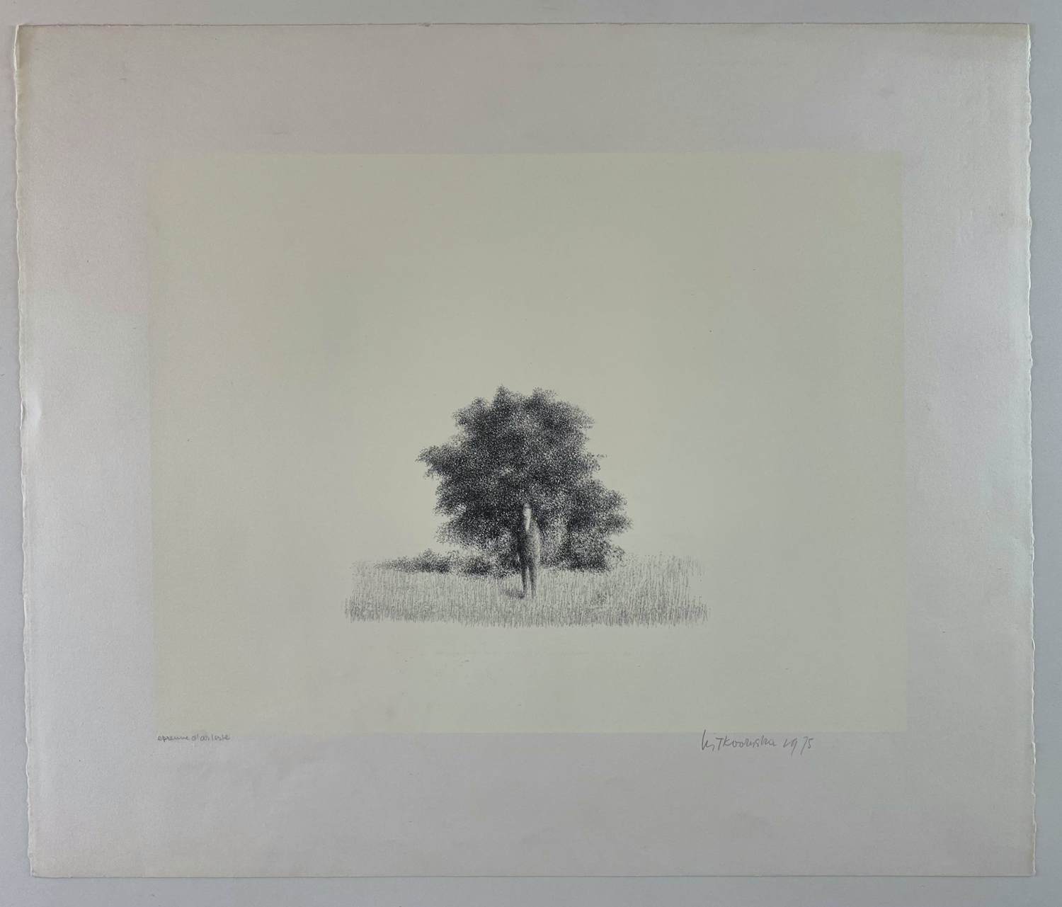 Metten Koornstra - Man voor Boom verkocht voor € 35!