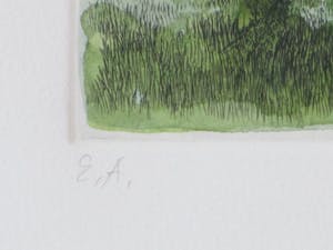 Jean Paul Vroom - Metamorfose - Kleurets kopen? Bied vanaf 1!