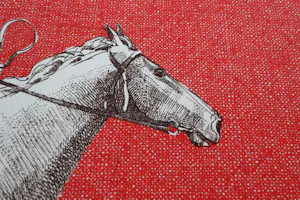 Aat Verhoog - Grote kleuren lithografie - 'Ruitertje' - kleine oplage (40) - potlodgesigneerd kopen? Bied vanaf 39!