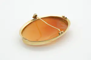 29- Grote antieke ovaalvormige 14 Krt gouden Victoriaanse Camee speld / broche kopen? Bied vanaf 90!