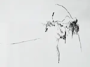 Armando - 1986 monochrome Litho uit het portfolio "Schuldige Landschaft" oplage 35 stuks! kaufen? Bieten Sie von 276!
